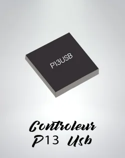 Micro Controlleur P13USB Nintendo Switch