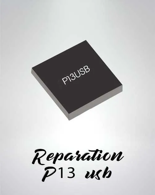 Reparation P13USB Nintendo Switch