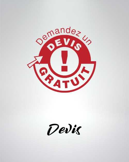 Devis Nintendo Wii U  - 1