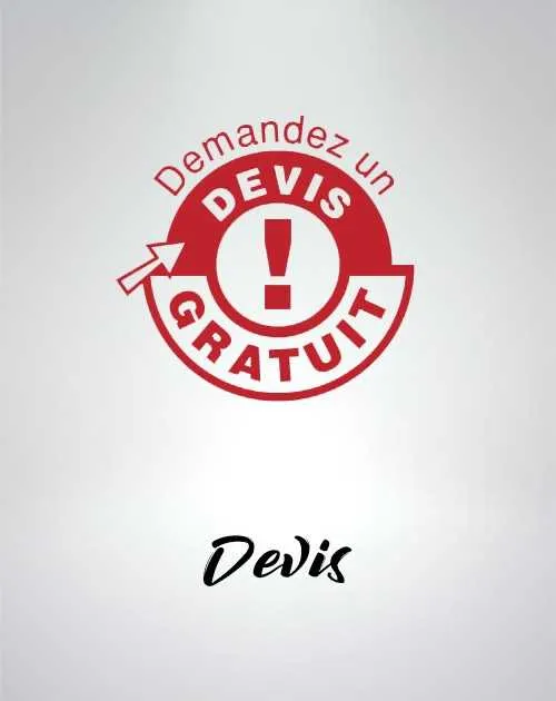 Devis Nintendo Wii U  - 1