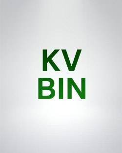 KV BIN XBOX 360