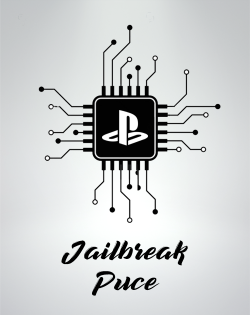 Jailbreak PS4 Avec Puce - Garantie 1 an