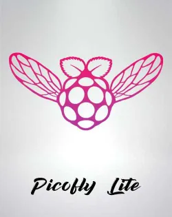 Installation Picofly Switch Lite – Pose de puce garantie 1 an
