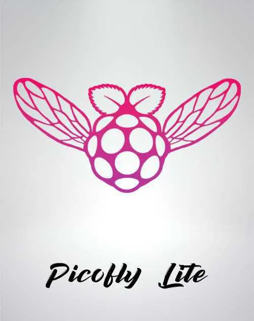 Installation Picofly Switch Lite – Pose de puce garantie 1 an