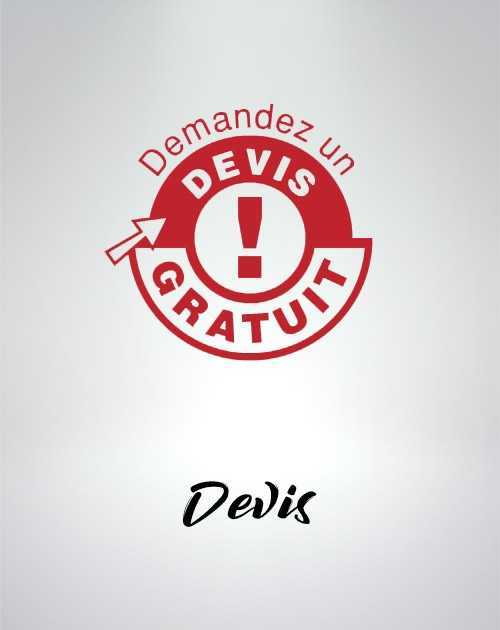 Devis Nintendo Switch  - 1