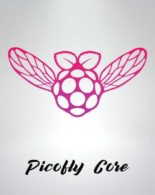 Installation Picofly Switch classique V1/V2