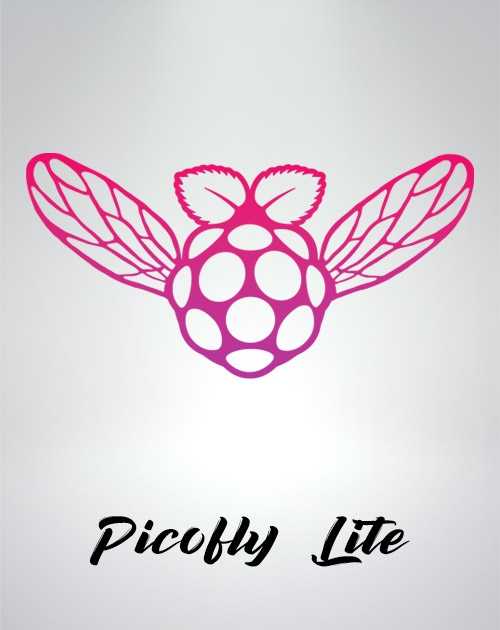 Installation Picofly Switch Lite
