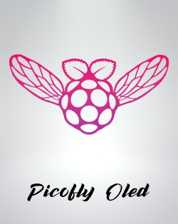 Installation Picofly Switch OLED