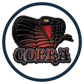 Téléchargement CFW 4.53 COBRA Habib 1.05