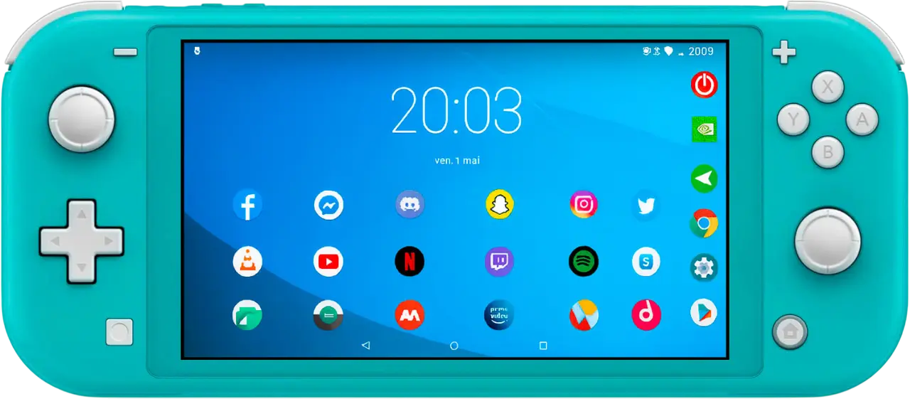 Installation Picofly Nintendo Switch Lite - Vue Desktop