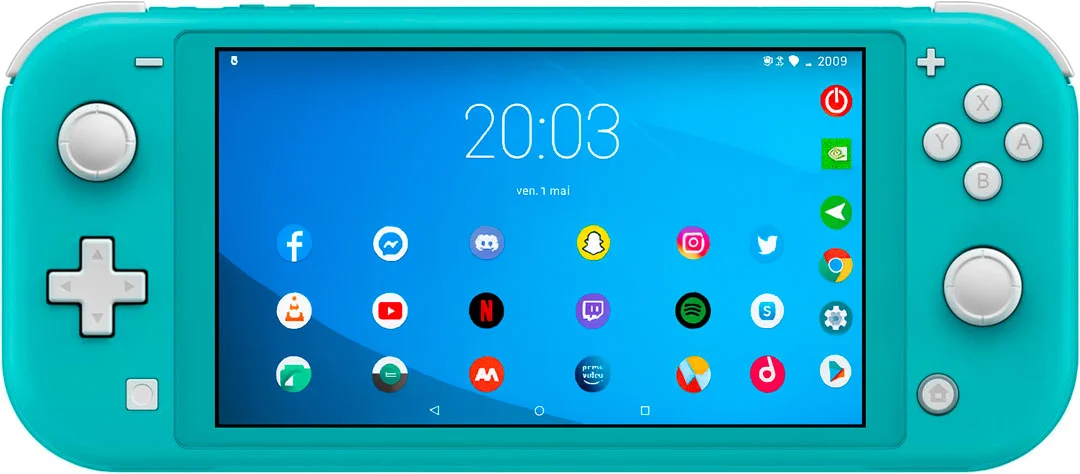 Installation Picofly Nintendo Switch Lite Vue Mobile