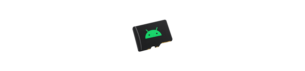 Carte microSD préparée pour Android sur Switch