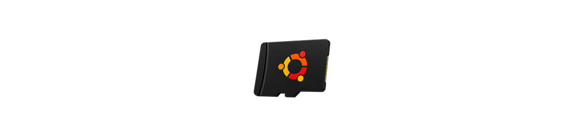 Carte microSD préparée pour Linux Ubuntu sur Switch